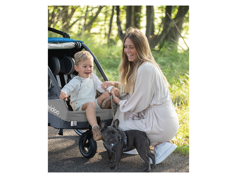 Eine Frau mit einem Kind und einem Hund in einem grauen Queridoo-Transportwagen.