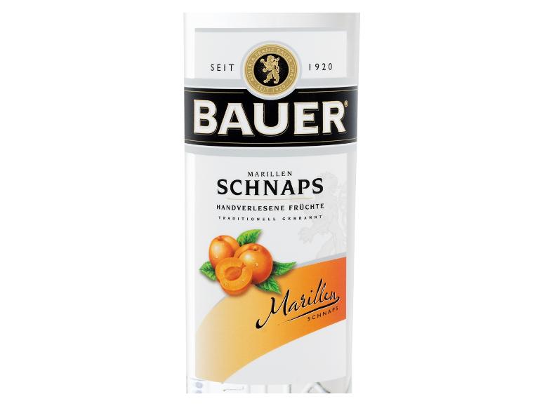 Bauer Marillen Schnaps Flasche mit frischen Aprikosen.