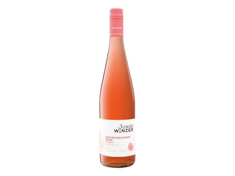 Eine Flasche Junge Winzer Spätburgunder Rosé aus Baden.