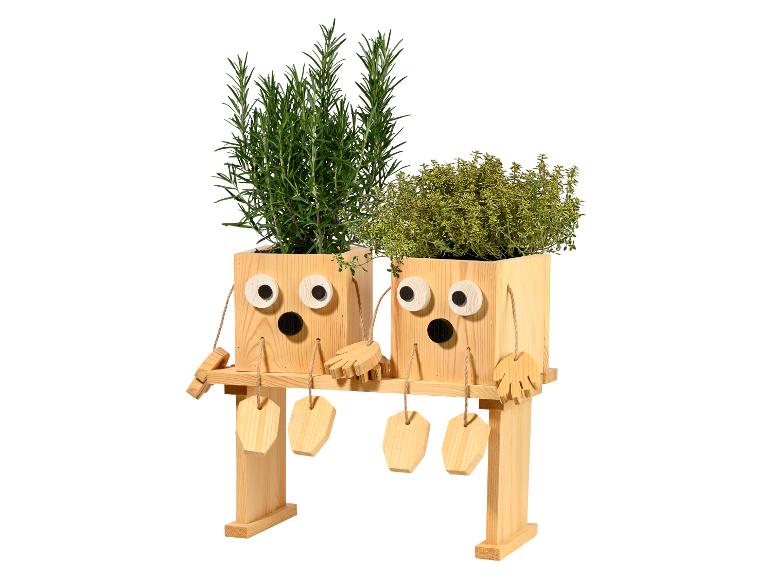 Holzpflanzgefäße mit Gesichtern und Kräutern, Rosmarin und Thymian.