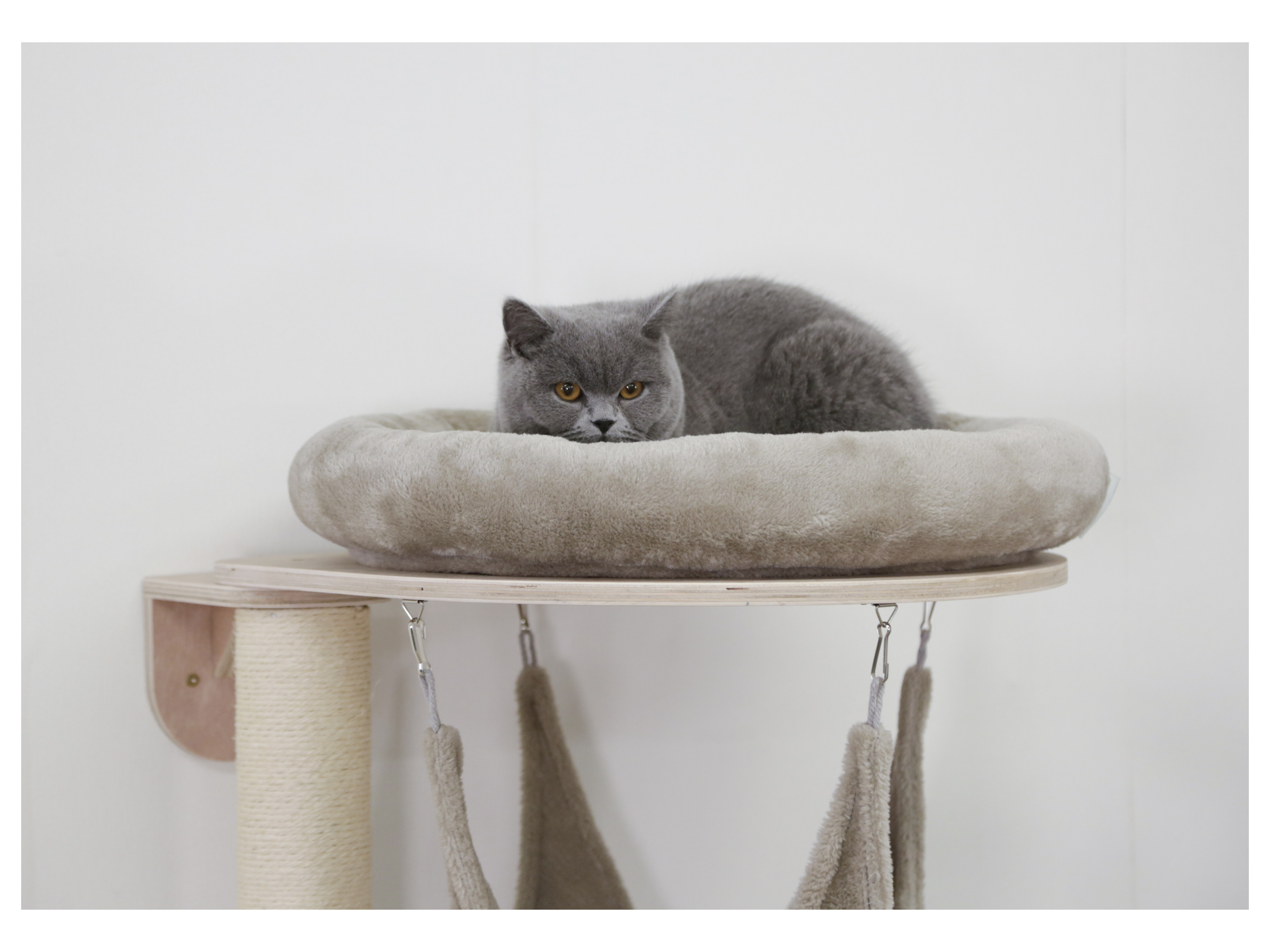 Thumbnail - Kerbl Pet Wandkratzbaum »Dolomit Grappa«