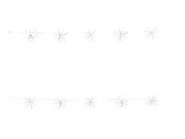 LIVARNO® Lichterkette »Dandelion«