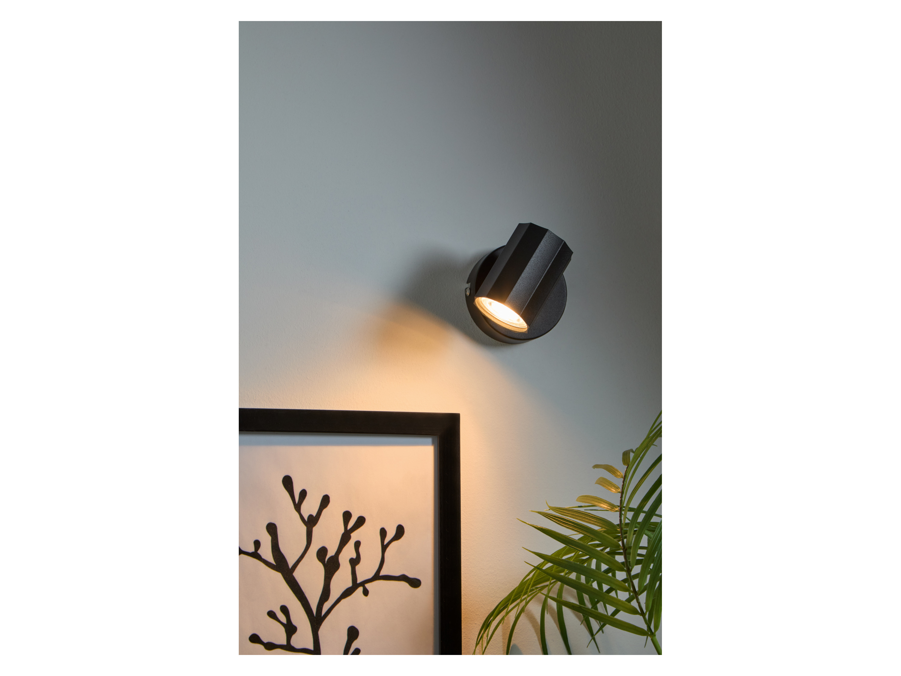 Thumbnail - LIVARNO home Wand-/Deckenleuchte, neig- und schwenkbarer Spot (rund, schwarz)