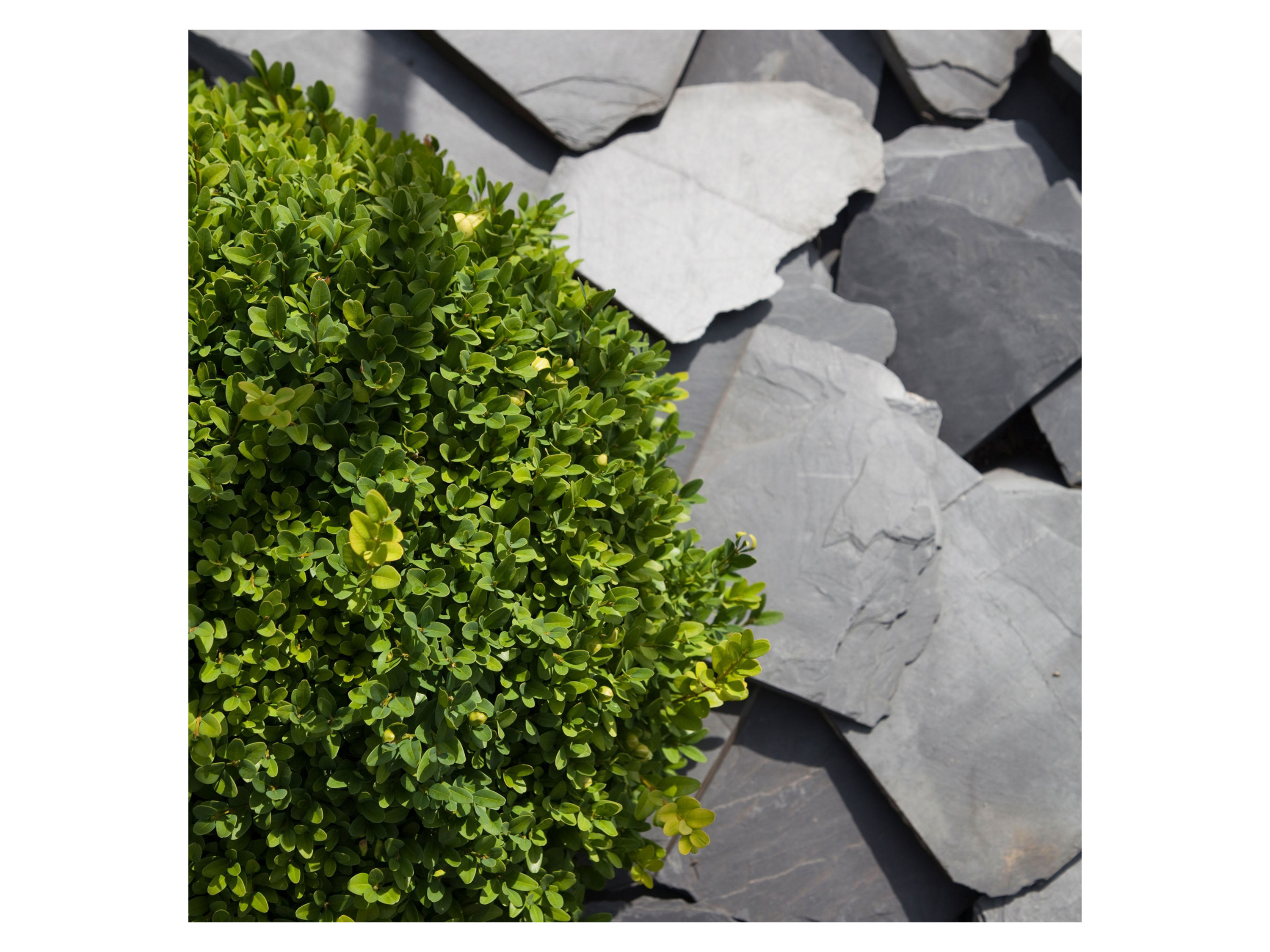 Thumbnail - Schicker Mineral Schiefer Ziersplitt (70-200 mm, 25 kg, Schwarz)