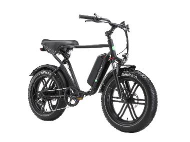 GreenStreet E-Bike Fat Tire »California« 250 W, 20 Zoll