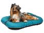 Ein Australian Shepherd auf einem türkisfarbenen Hundebett.