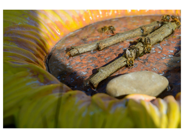Gehe zu Vollbildansicht: dobar Insektentränke »Fiore«, Ø 30,5 x H 4 cm, aus Keramik, witterungsbeständig - Bild 10