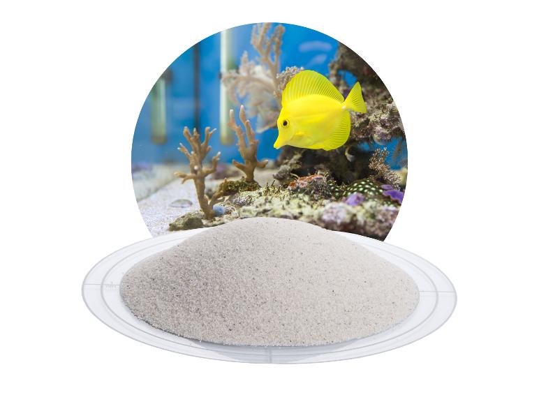 Aquariensand mit gelbem Doktorfisch und Korallen in einem Aquarium