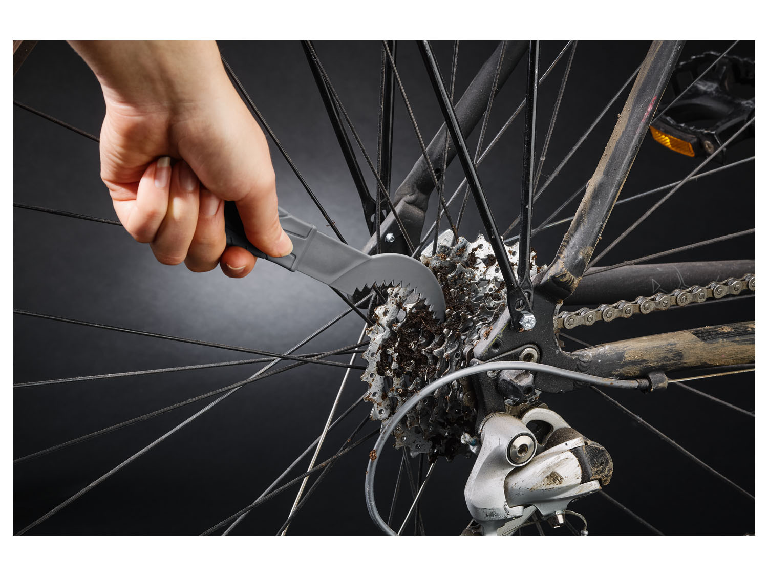 CRIVIT Fahrrad Reinigungs-Set online kaufen | LIDL