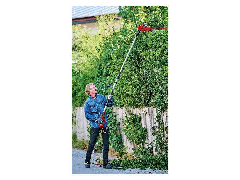 Mann schneidet eine hohe Hecke mit einer Langstiel-Heckenschere, trägt Schutzbrille und Handschuhe.