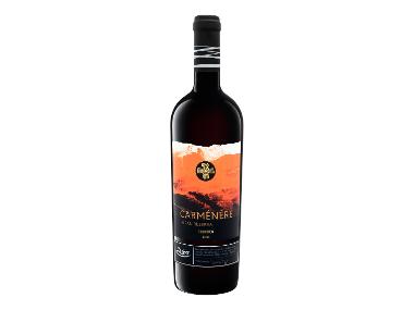VIAJERO Valle del Rapel Carménère Gran Reserva trocken, Rotwein 2021