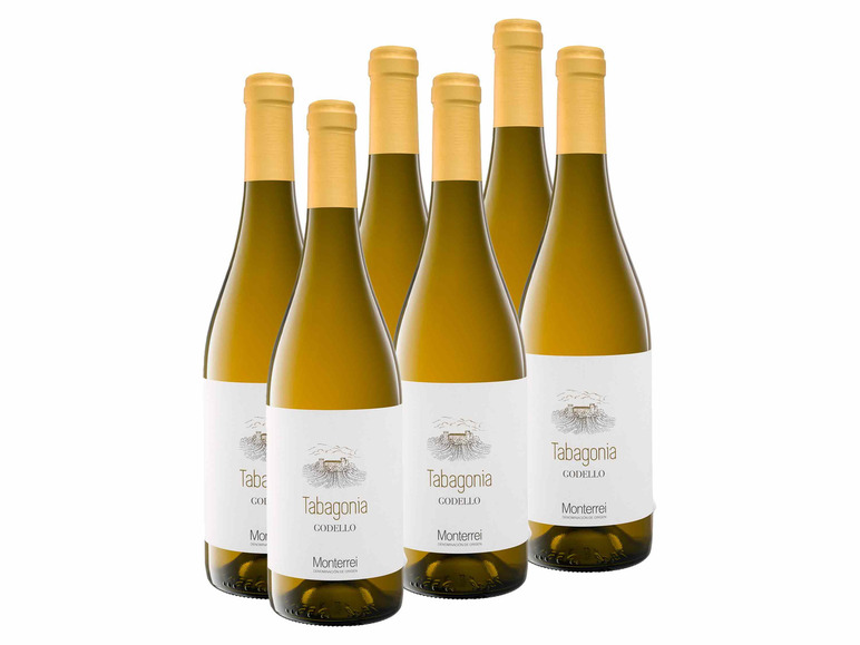 Gehe zu Vollbildansicht: 6 x 0,75-l-Flasche Weinpaket Tabagonia Godello Monterrei DO, Weißwein - Bild 1