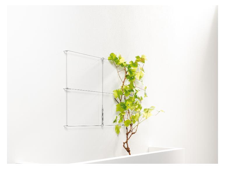 Eine Pflanze wächst an einem Stahlkabel an einer weißen Wand entlang.