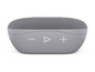 Ein grauer tragbarer Bluetooth-Lautsprecher.
