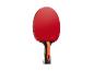 Roter und schwarzer Tischtennisschläger mit Carbon-Griff