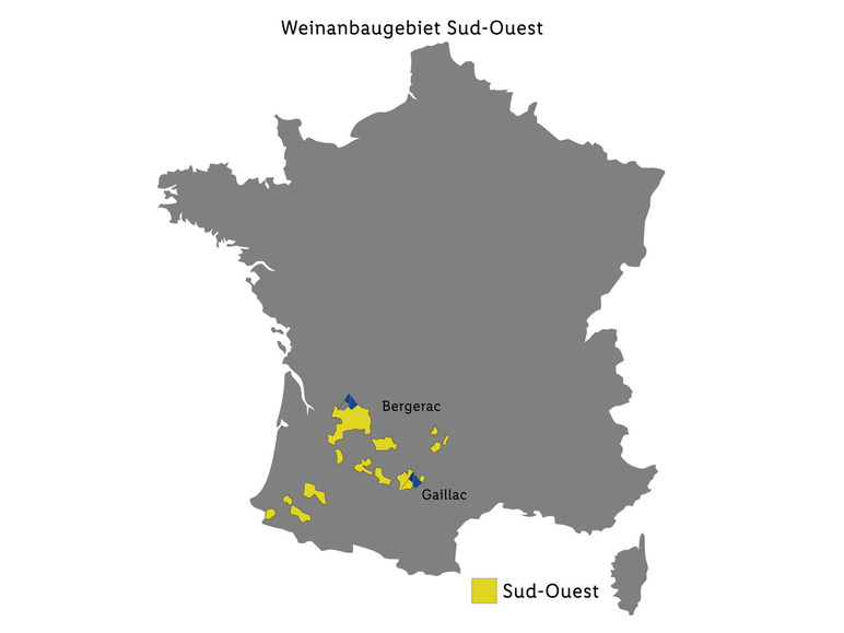Gehe zu Vollbildansicht: Villedart Bergerac AOP trocken, Weißwein 2021 - Bild 2