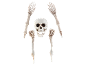 Halloween-Skelett-Dekorationsset, bestehend aus einem Schädel und vier knochigen Armen.