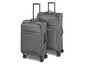Zwei graue Koffer mit Rollen