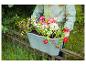 Person hält einen Blumenkasten voller bunter Blumen über einem Eisenzaun.