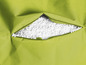 Ein grüner Sitzsack mit offenem Reißverschluss, gefüllt mit weißen Styroporkugeln.