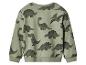 Grünes Kinder-Sweatshirt mit Dinosaurier-Print