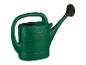 Grüne Gießkanne mit schwarzem Aufsatz und Messskala an der Seite