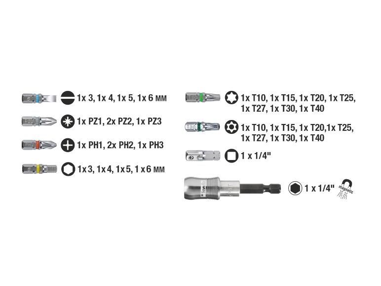 Schraubendreher-Bit-Set: Schlitz, Kreuzschlitz, Torx, Sechskant und magnetischer Adapter.
