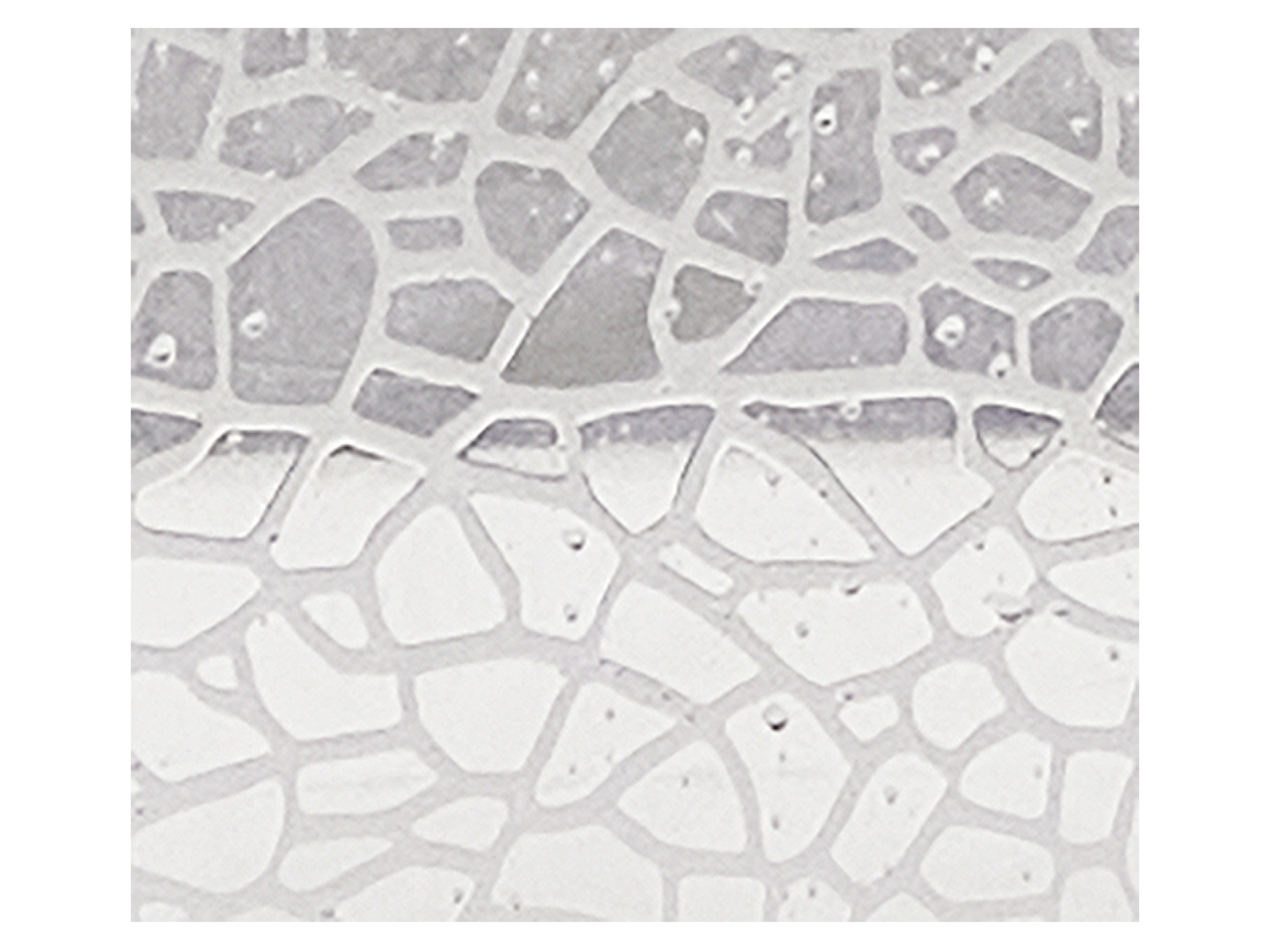 Thumbnail - LIVARNO home Duschvorhang 180x200cm (Weiß)