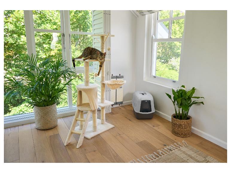 Katze auf Kratzbaum, Katzentoilette und Pflanzen am Fenster.