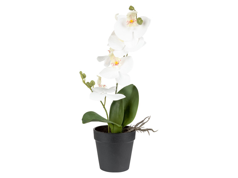 Gehe zu Vollbildansicht: LIVARNO home Kunstpflanze Orchidee / Blaulauch / Ranunkel - Bild 2