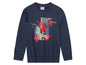 Ein dunkelblauer Langarmsweater für Jungen mit Spider-Man-Motiv.