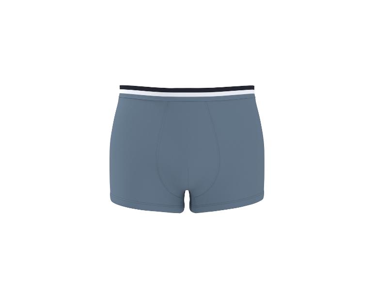 Boxer, 3 Stück