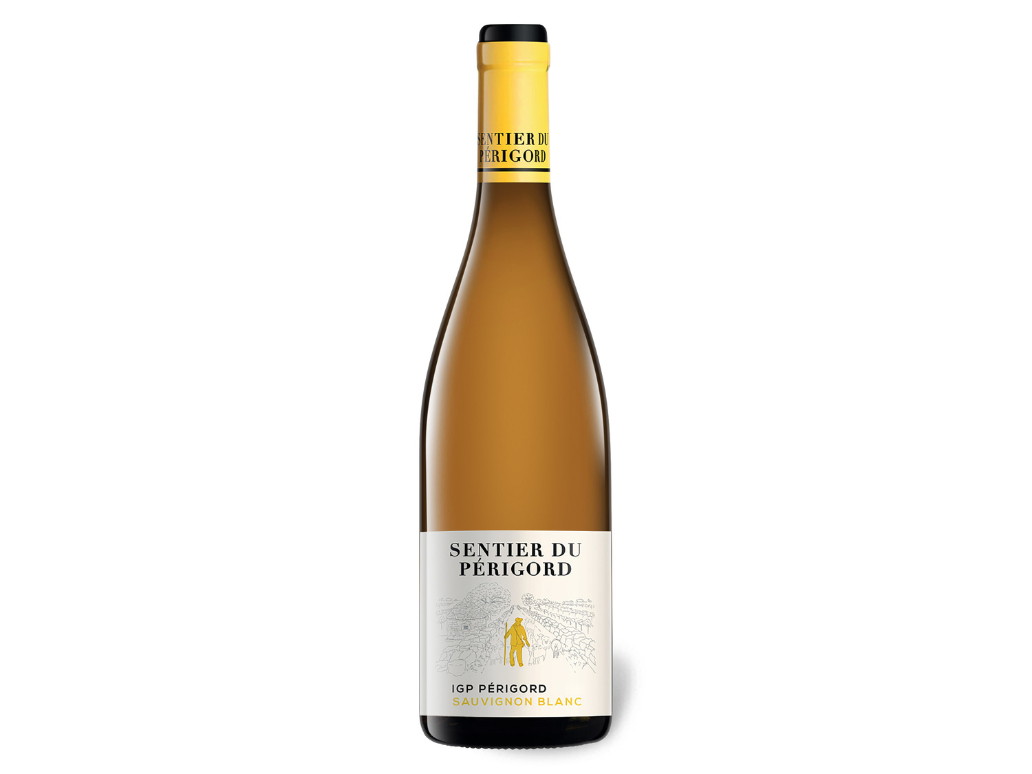 Sauvignon Weißwein du trocken Blanc Périgord 2021 Sentier IGP