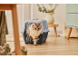 Eine Katze kommt aus einer grauen Transportbox in einem Wohnraum mit Holzboden.