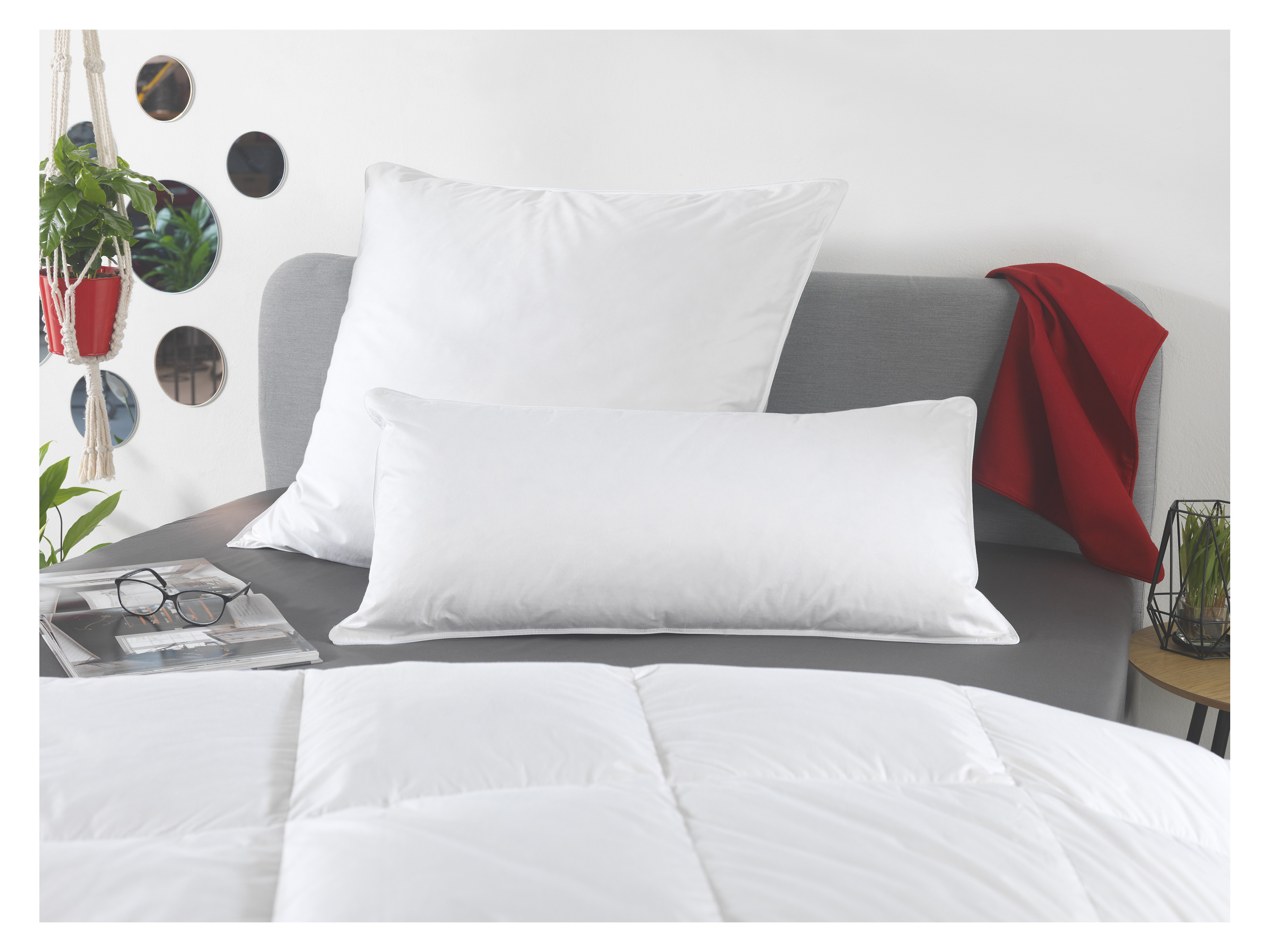 Thumbnail - HÄUSSLING Premium Kopfkissen mit Federn & Daunen (40 x 80 cm)