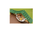 Ein Spielzeug-Eichhörnchen in einer weißen Hängematte auf einem Baumhaus aus Holz mit grünem Dach.