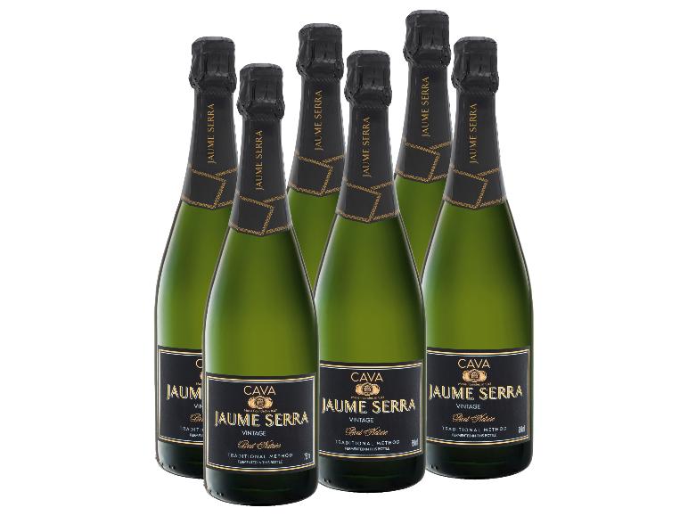 Sechs Flaschen Jaume Serra Vintage Cava Brut Nature Schaumwein.