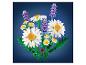 LEGO BOTANICALS Gänseblümchen 11508