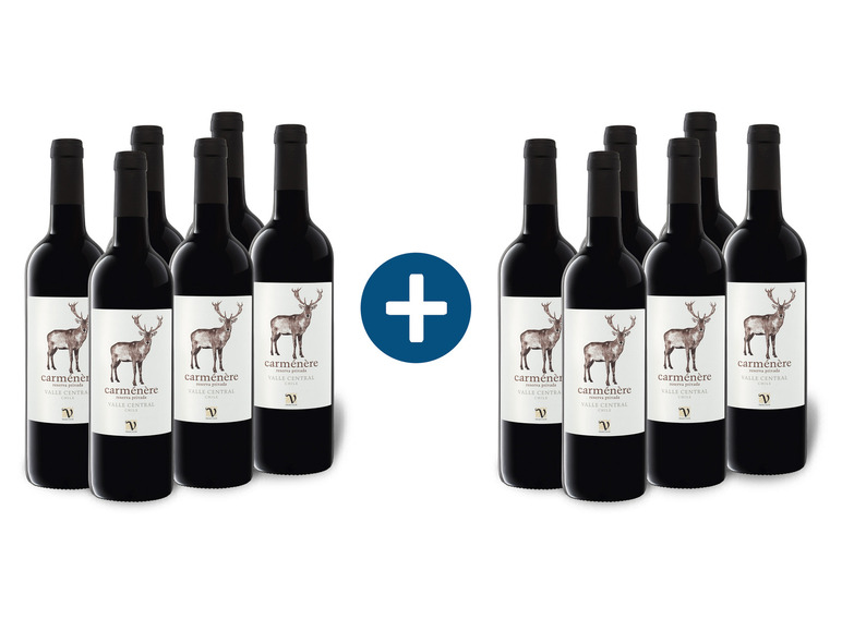 6+6 Paket VIAJERO Carménère Reserva Privada Valle Central Chile trocken, Rotwein