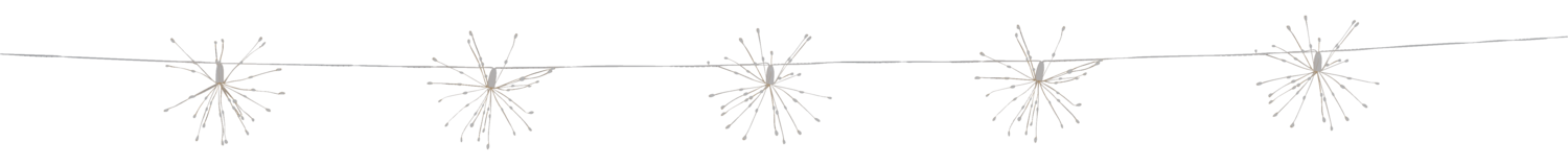 LIVARNO® Lichterkette »Dandelion« (warmweiß) – Bild 3 von 3