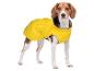 Beagle-Hund in gelbem Regenmantel steht und schaut geradeaus.