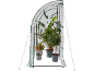 Tunnelgewächshaus mit Topfpflanzen, darunter Zitrusfrüchte, Palme und Oleander.