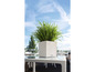 Weißer Lechuza Cube Blumentopf mit Pflanze auf einer Terrasse.