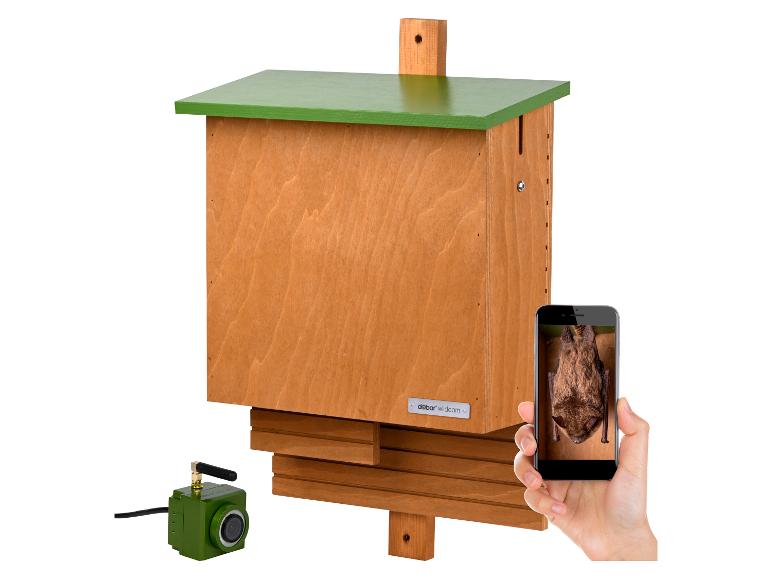 Fledermauskasten aus Holz mit grünem Dach, einer Kamera und einem Smartphone, das eine Fledermaus zeigt.