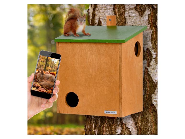 Hölzernes Eichhörnchenhaus am Baum, Eichhörnchen auf dem Dach, Hand hält Telefon mit Eichhörnchenbild.