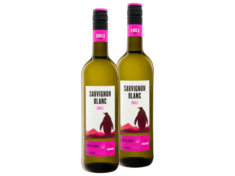 Gehe zu Vollbildansicht: 2er Weinpaket CIMAROSA Chile Sauvignon Blanc trocken, Weißwein - Bild 1