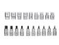 Ein Satz Chrom-Vanadium E-Torx und Torx Bit-Steckschlüsseln, von E24 bis E10 und T70 bis T20.