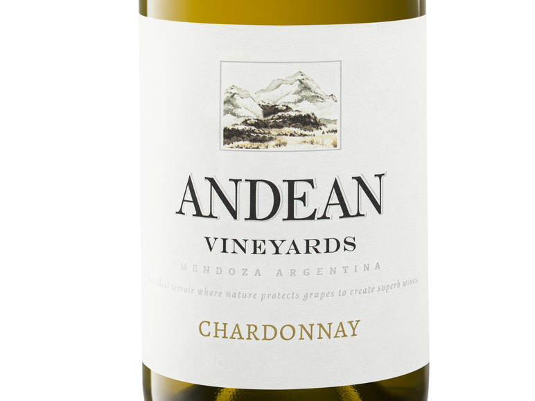 Chardonnay Weißwein trocken, Vineyards Andean 2022