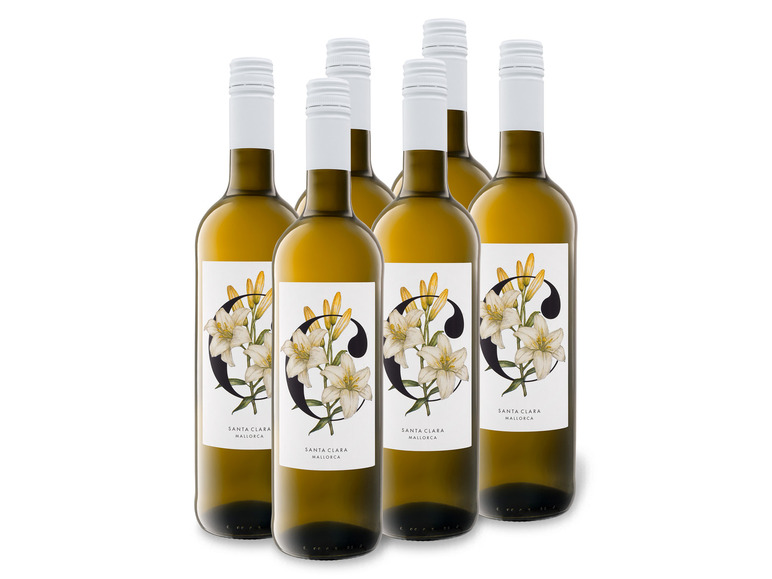 Gehe zu Vollbildansicht: 6 x 0,75-l-Flasche Weinpaket Santa Clara Blanc de Blancs Mallorca Vi de la Terra trocken, Weißwein - Bild 1