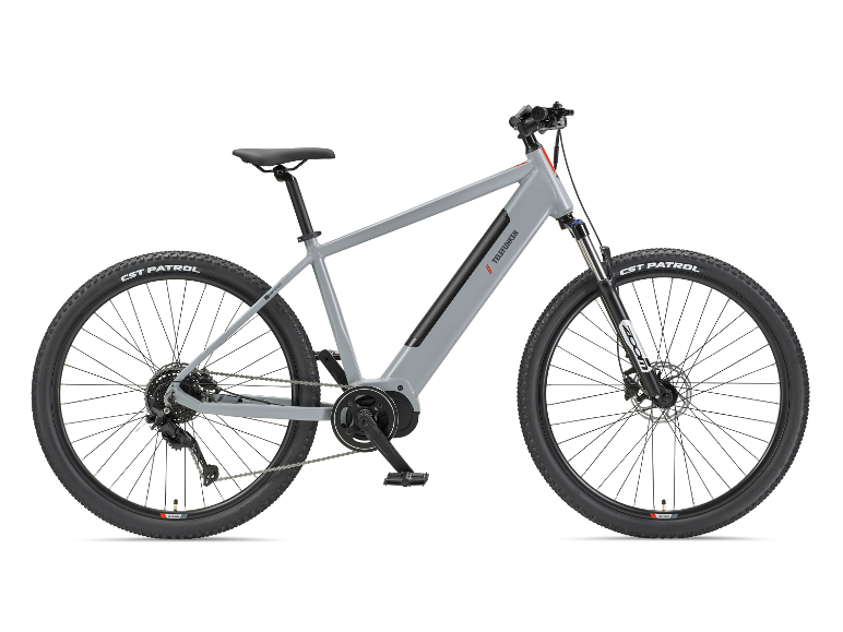 TELEFUNKEN Aufsteiger MT925 29-Zoll graues E-Mountainbike.